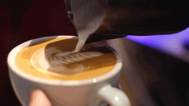 2023世界咖啡师大赛,2023世界咖啡师大赛成都