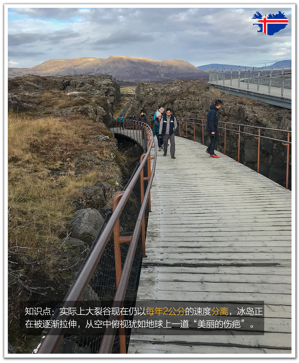 澶т紬閫旈攼鍐板矝鍥剧墖,閫旈攼鍐板矝