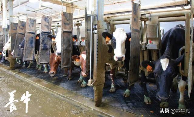 手动排空乳汁每次挤多久,每天奶要排空吗