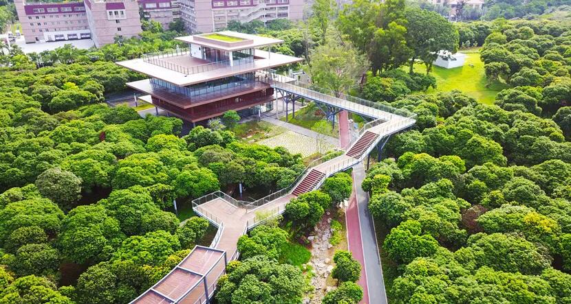 深圳花海公园推荐景点有哪些,深圳花海公园地址在哪里