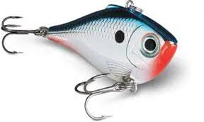 钓鲈鱼的钩距,如何钓鲈鱼台钓