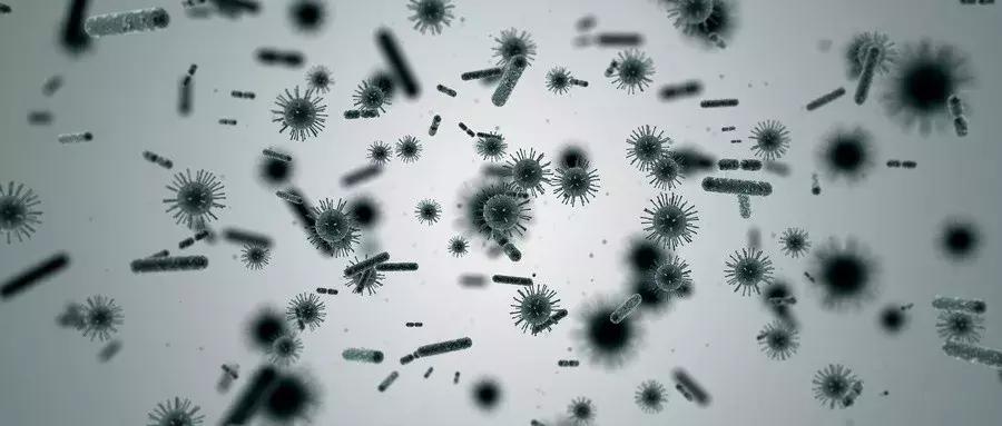 淋病感染多久才能治好吃什么药好,淋病最多几种抗生素联合治疗