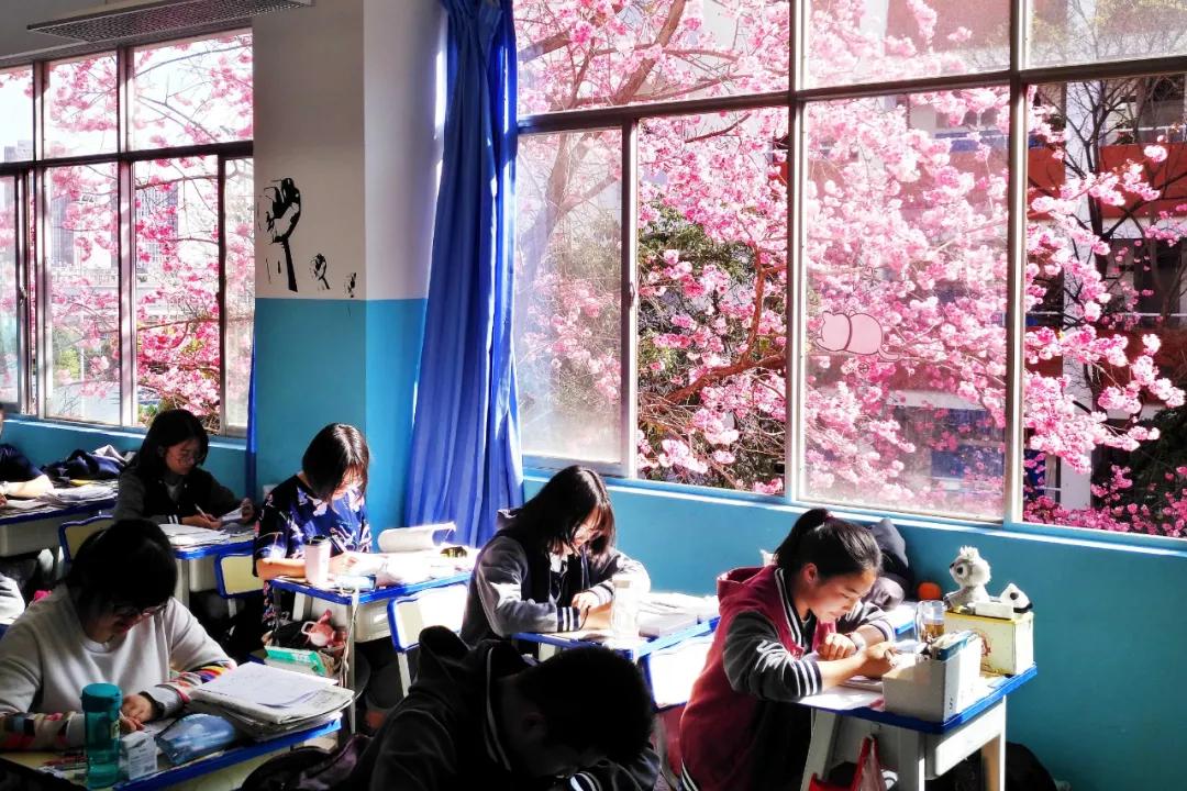 学长说|一所学校到底好不好，初三学姐学长最有发言权