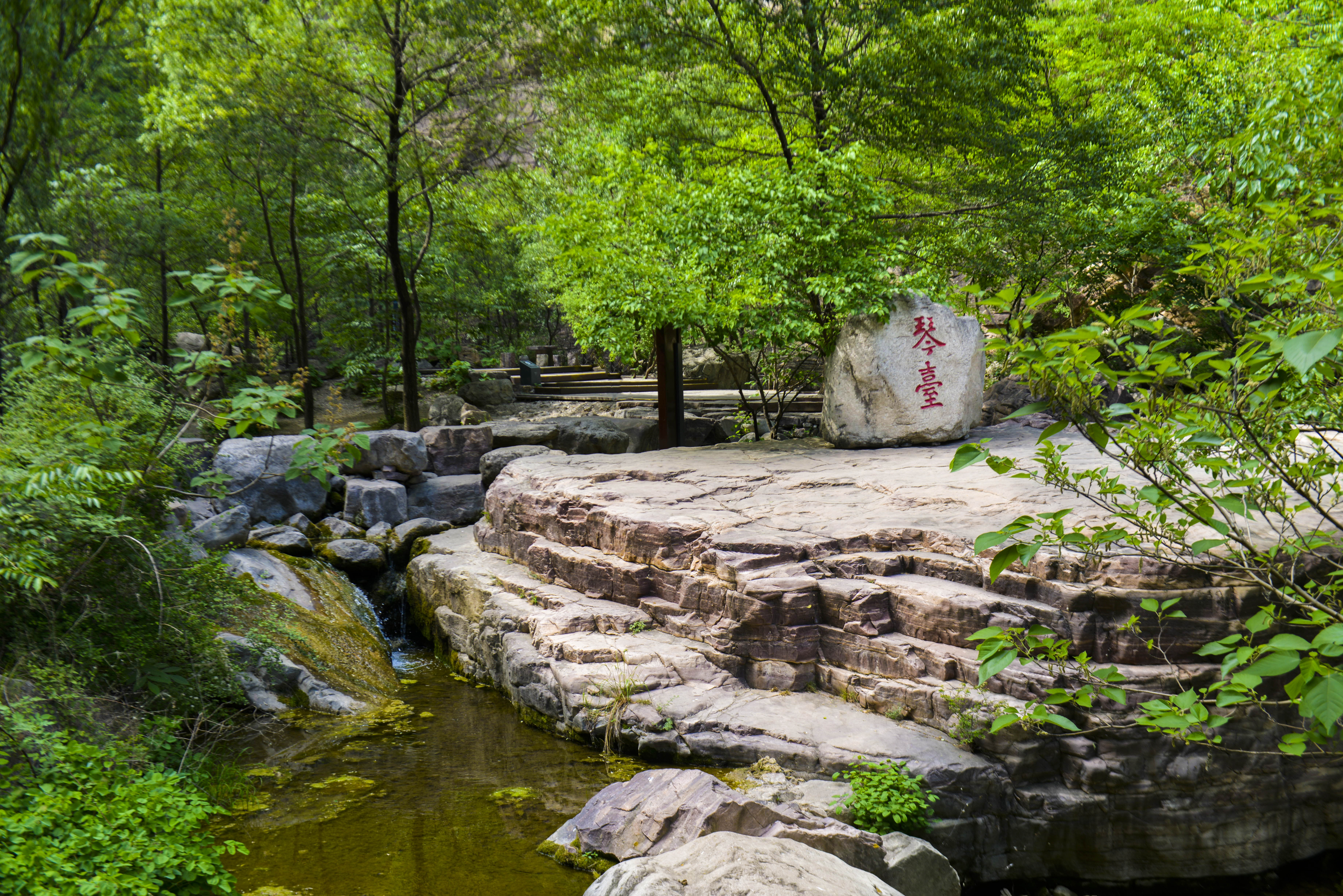 来到这里，我承认我腿有些软，但我还是痴迷于它的美