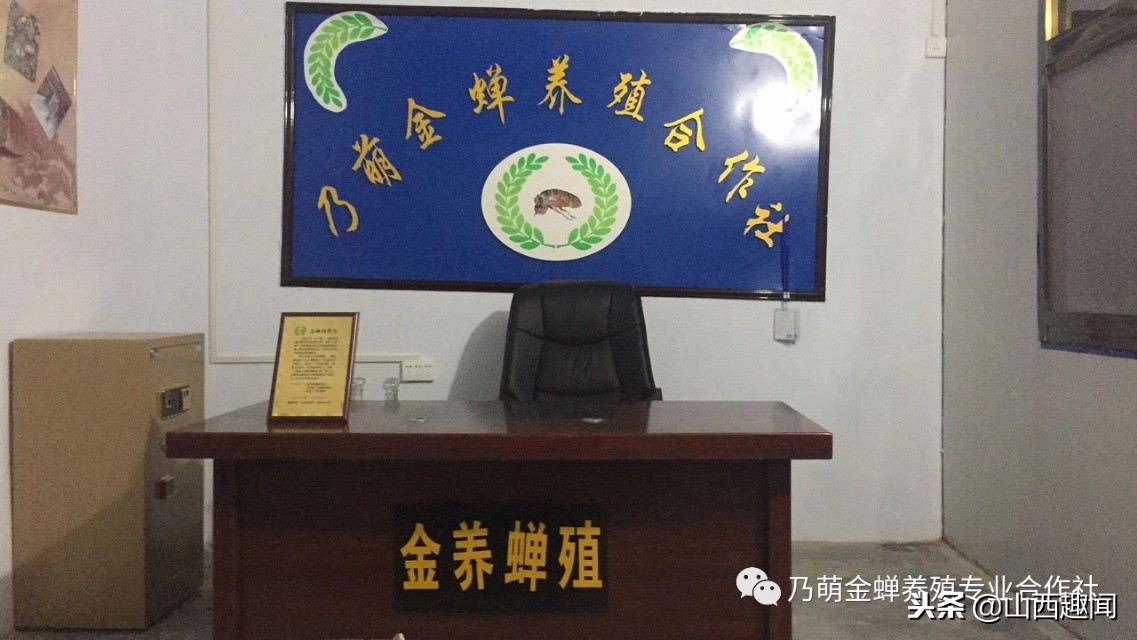 运城市金蝉养殖基地,山西乃萌金蝉养殖合作社