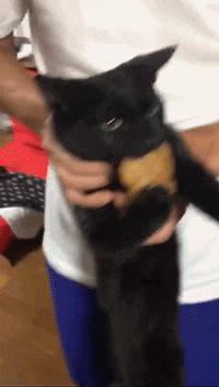 捡到了u盘里面会有什么,捡到一个u盘还好没有用