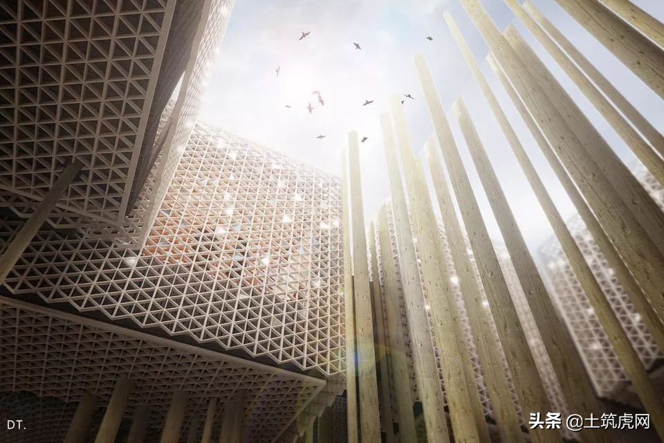 让你意想不到的房子,极简美建筑