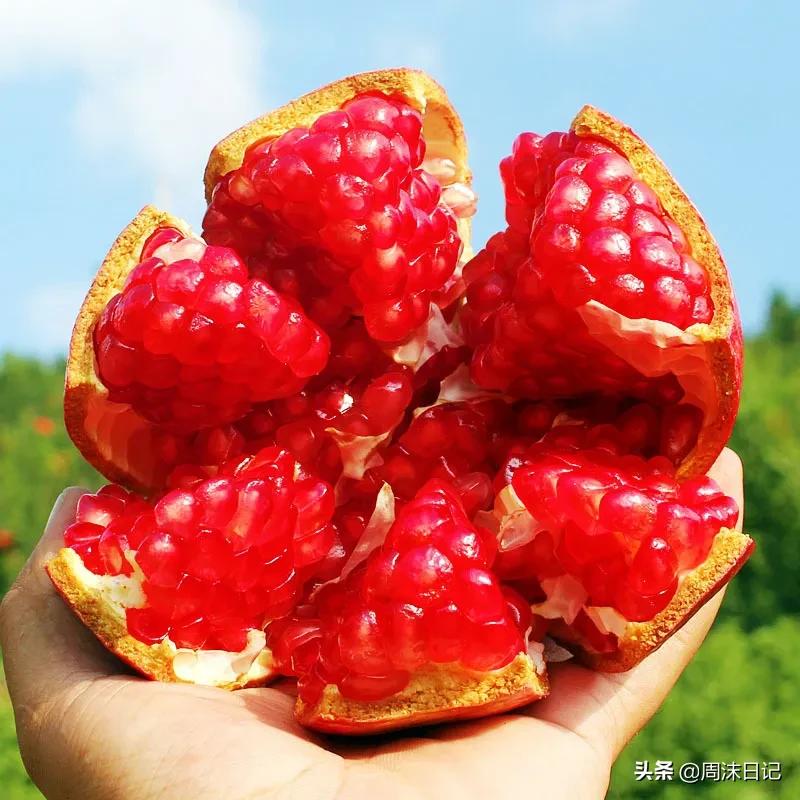 云南突尼斯软籽石榴爆汁不吐籽,甘甜爆汁突尼斯软籽石榴