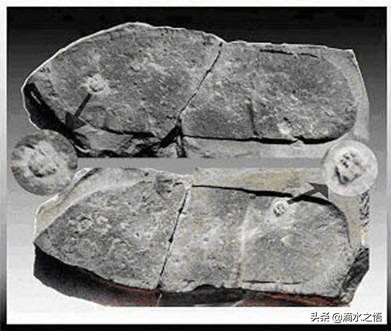 史前文明真实存在的铁证有哪些,科学家列出多个证据直指史前文明