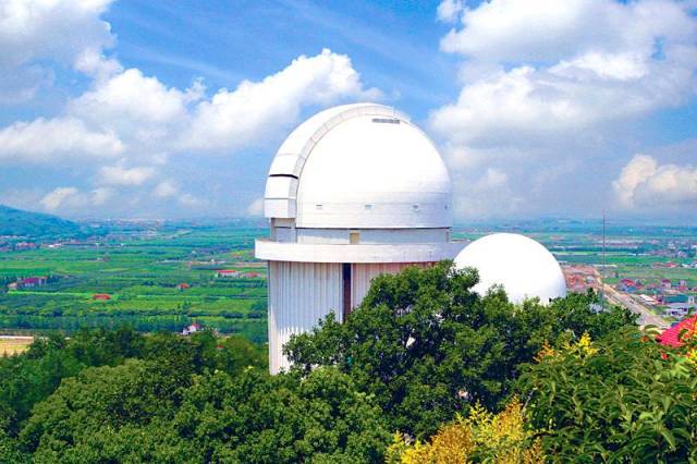 松江区夏日游玩攻略,松江古镇旅游攻略一日游