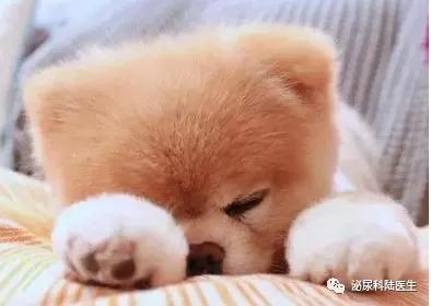 科普|老年女性百分百成功导尿秘笈来喽