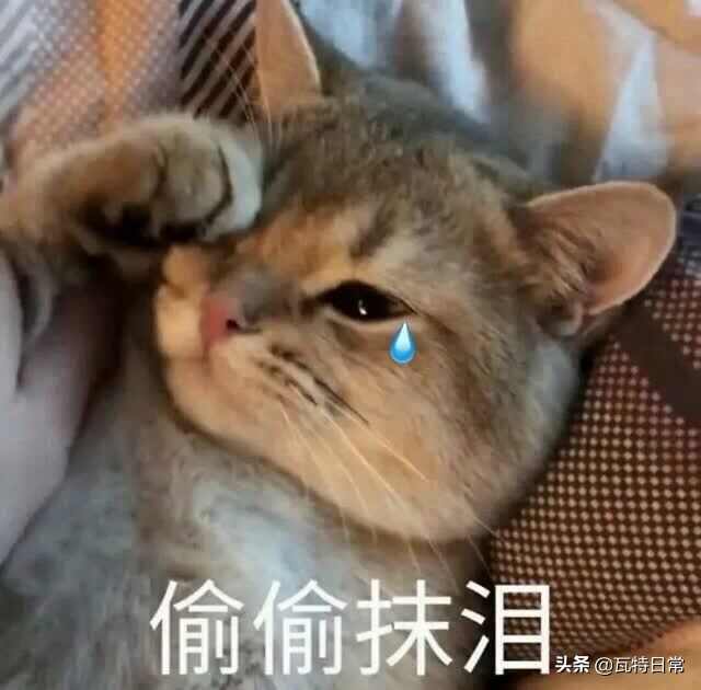 黑人牙膏、印度神油…你被这些伪造户籍的特产骗过吗？