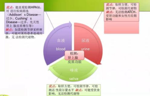 压力如何带来心理问题,压力是怎样让人伤心的