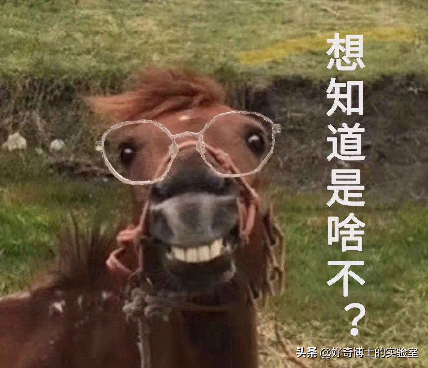 微信奇奇怪怪玩法,微信撩妹技能怎么玩