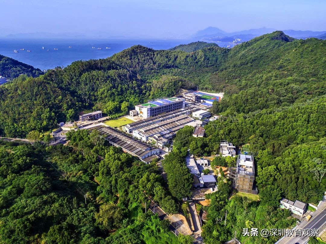 走名校vol.8|三年，明德国际体系走出怎样一条新路？