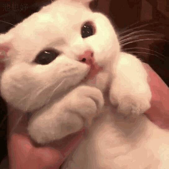 这十一本经典小说让人眼前一亮,这十一本好书你看过几本呢