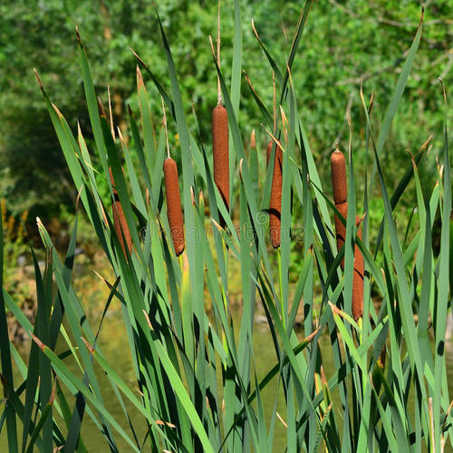 月亮湖的往事视频,月亮湖的往事全集