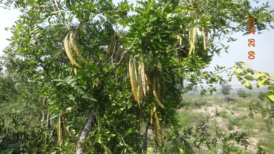 秋风凉原唱完整版,秋风凉原唱完整版伴奏