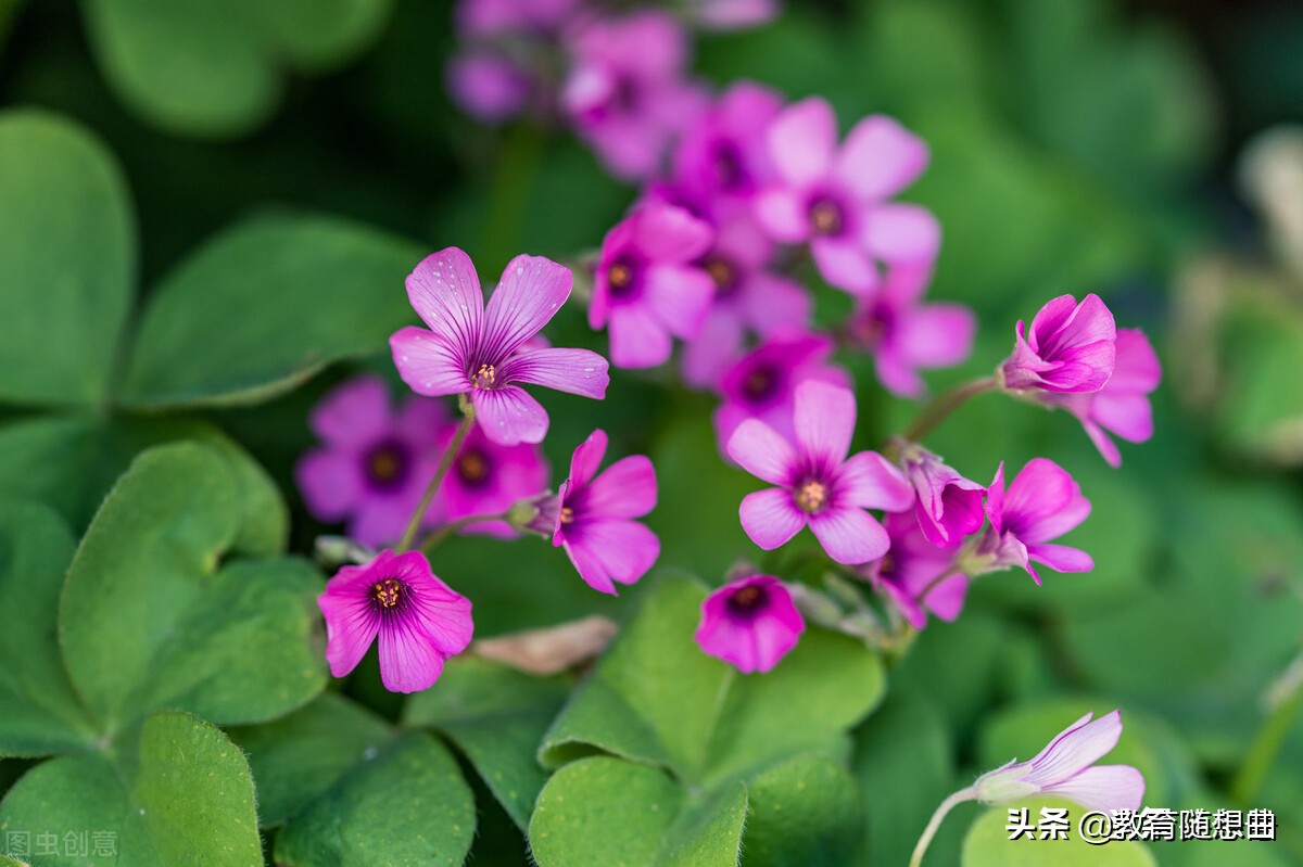 电摩中途没电怎么解决,柴暖中途没电了怎么办