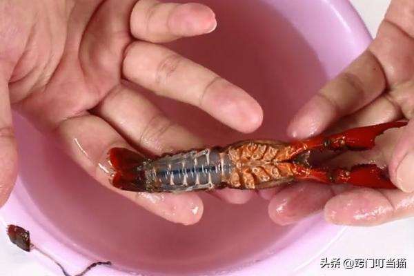 洗小龙虾夹烂手怎么处理,清理小龙虾总被夹手怎么办