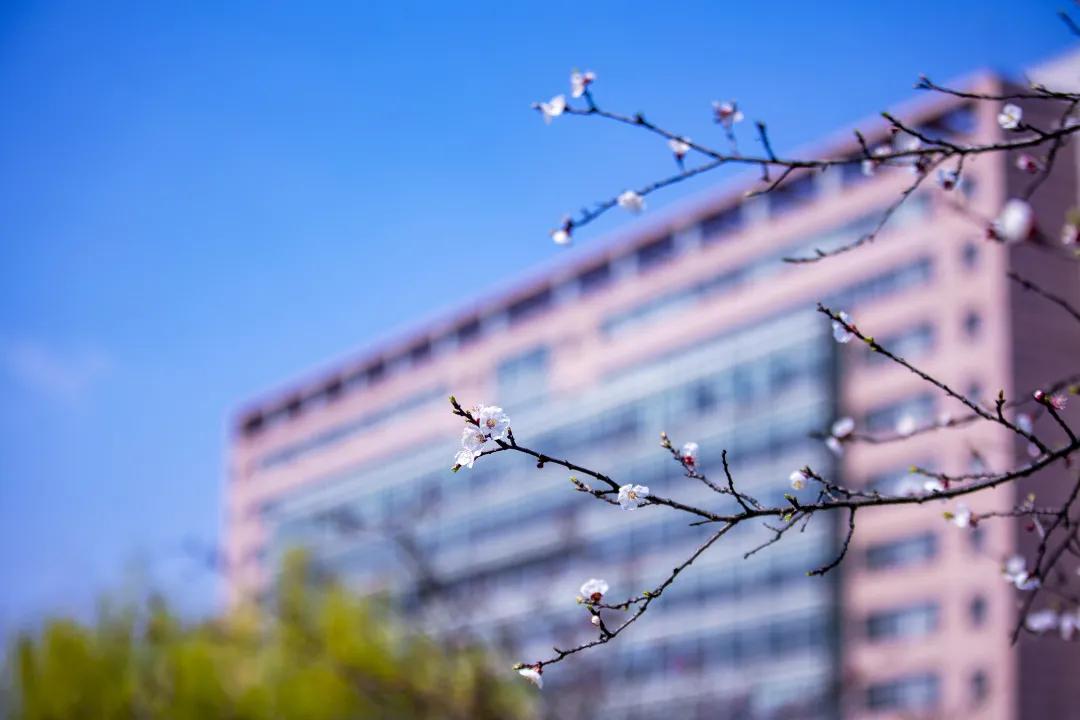 杭州美职学校风景,杭州美丽学校评选