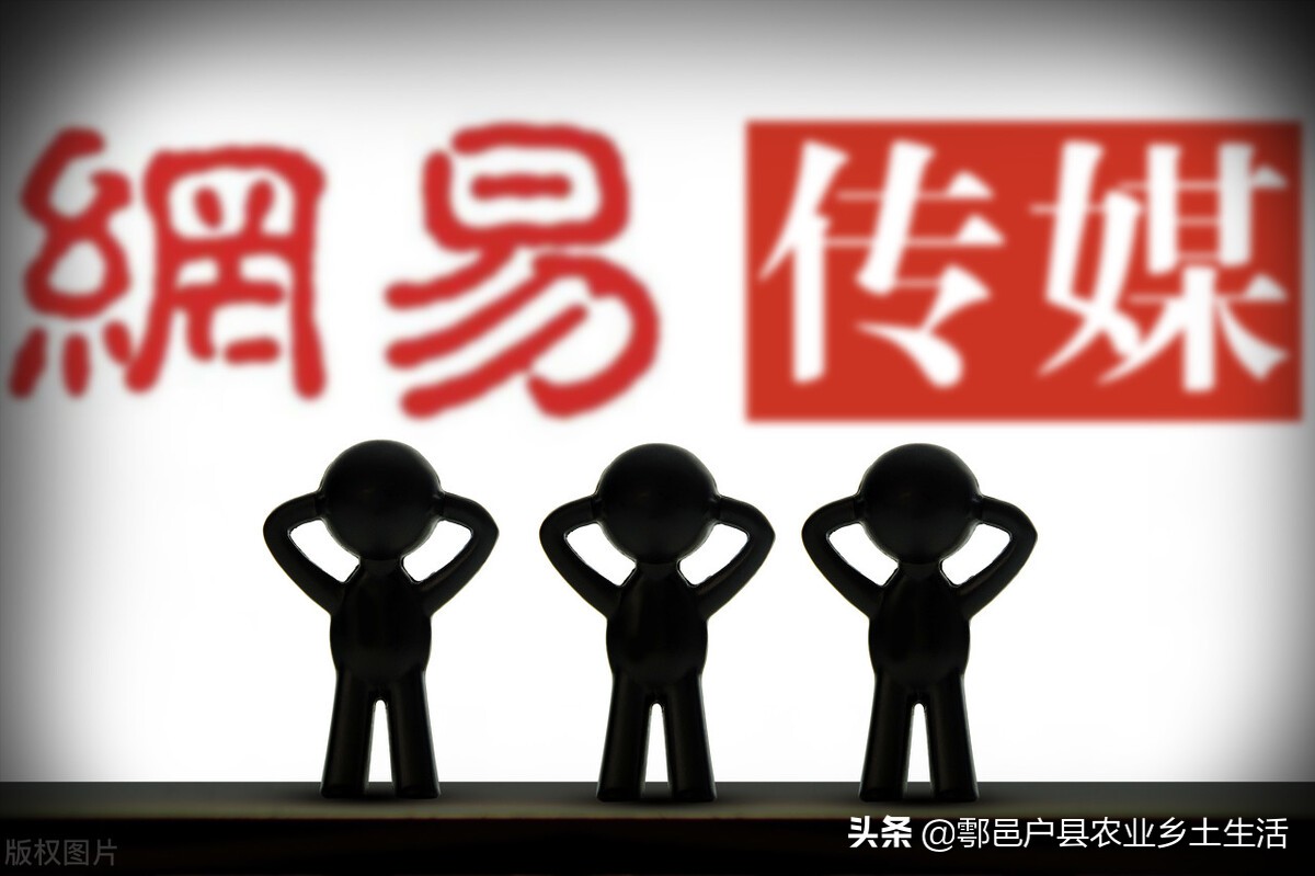 自媒体运营入门第一讲,新手如何做自媒体写作赚钱