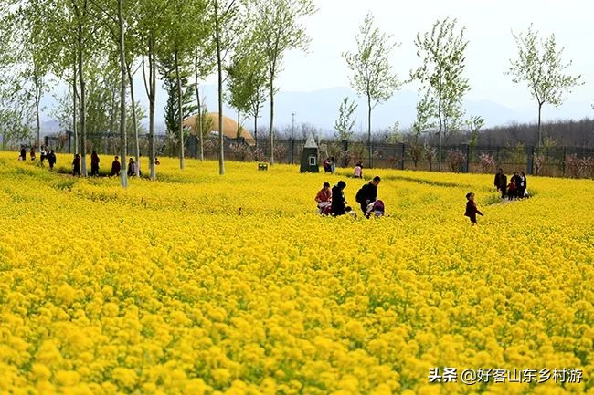济南市五一假期游玩,济南旅游活动