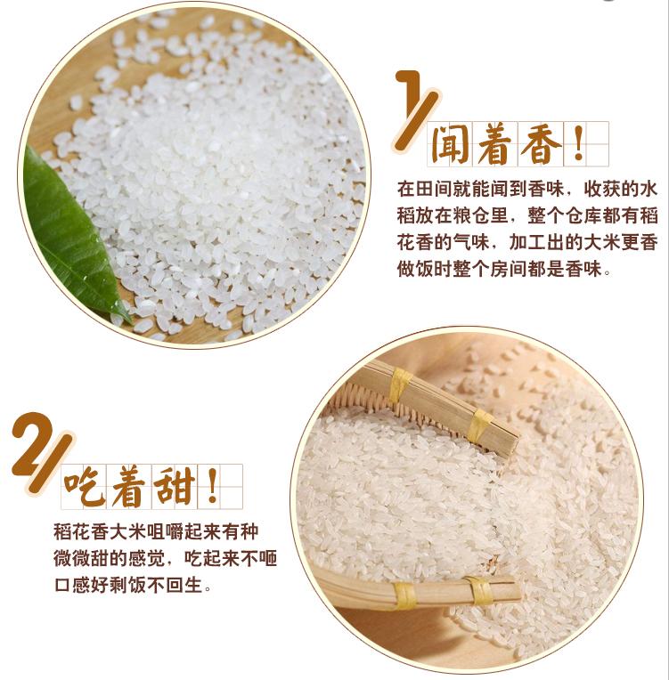 稻花香五常大米为什么这么香?好在哪里?