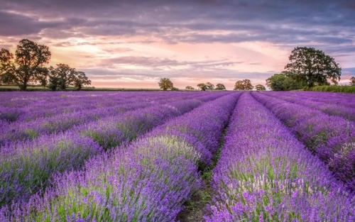 移民澳大利亚有哪些优势,为什么要移民去南美