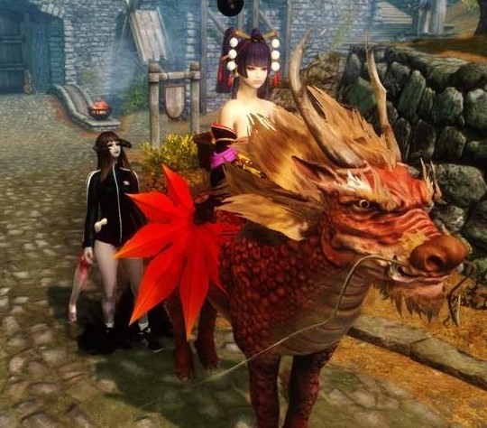 上古卷轴5新手攻略mod,上古卷轴5重制版mod打法