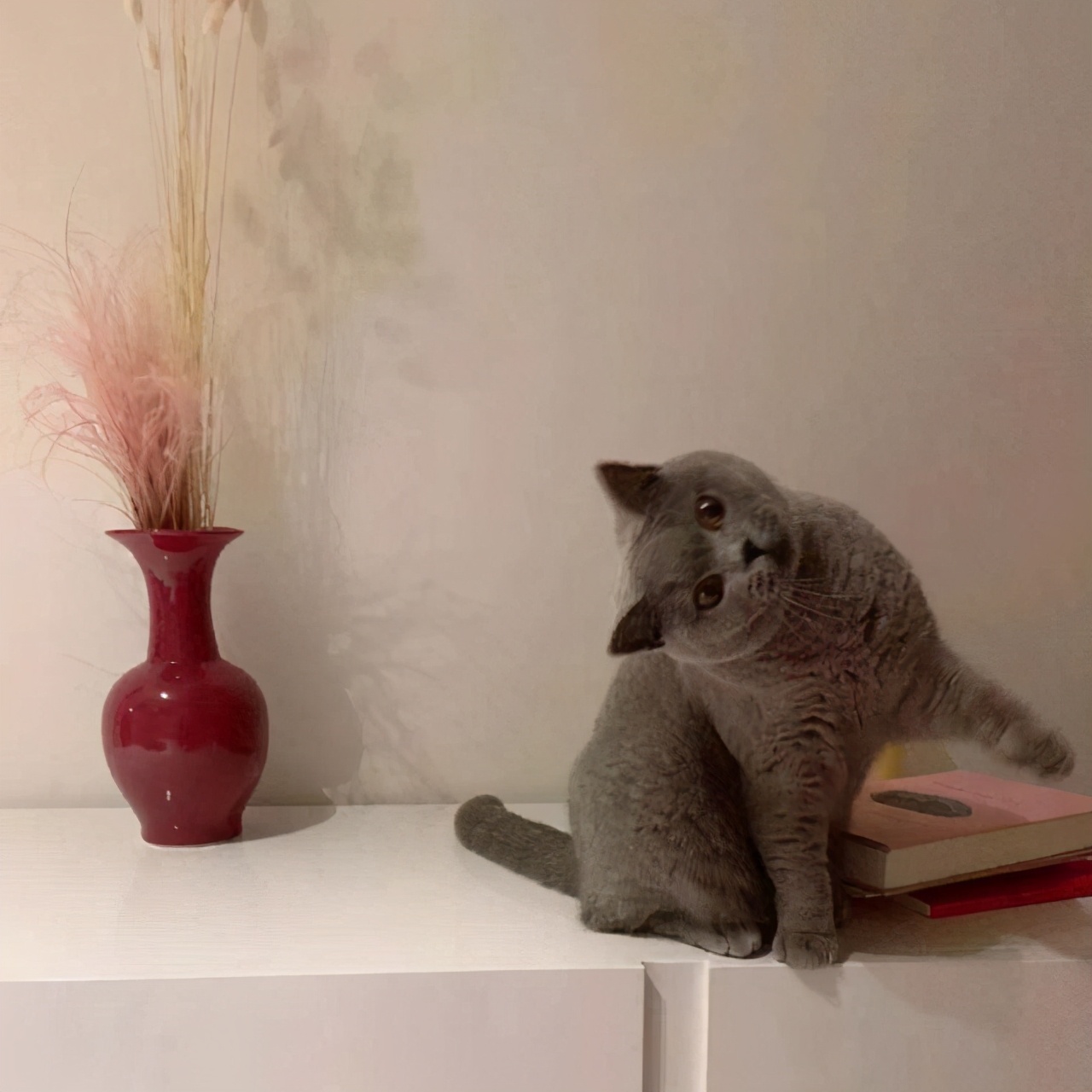 继女厕所后，女更衣室也被男孩儿们占领了，果然巨婴是从小养成的