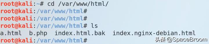 四十二，DNS欺骗和钓鱼网站原理详解及漏洞还原