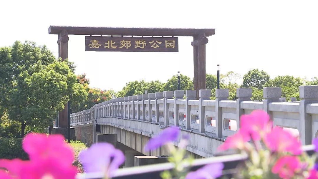 嘉定北站11号线,嘉定11号线附近房价最新消息