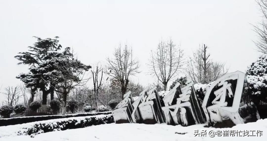 日照营销总监招聘,日照老城区销售业务招聘