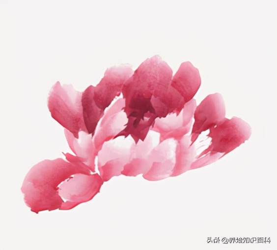 写意牡丹画法教程,零基础入门画法教给孩子,这样画简单又好看
