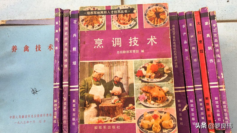 閲嶈繑鐒﹀北鍐涜惀,鐒﹀北鍐涜惀