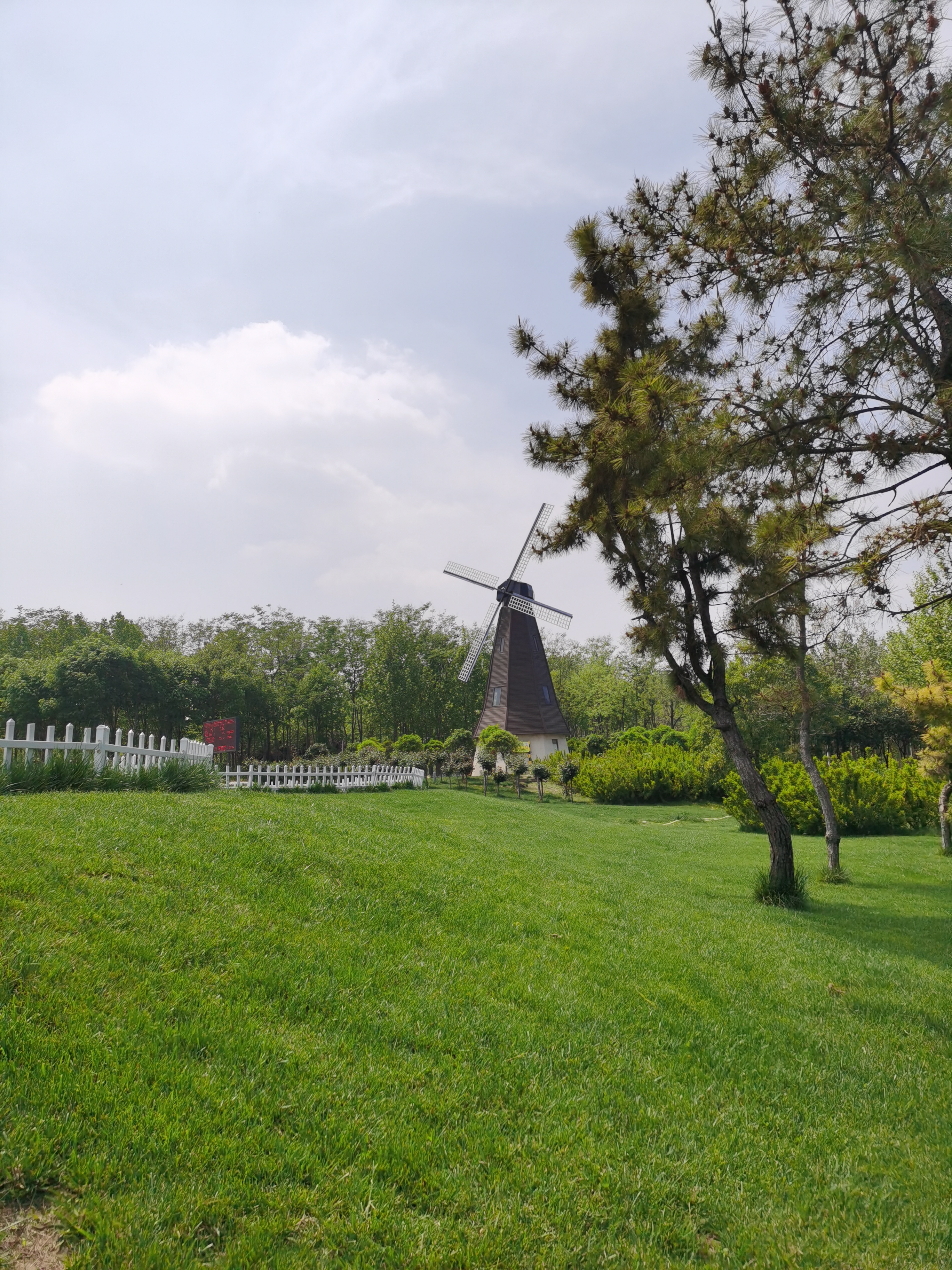 5.1免费公园遛娃好去处,网友推荐郑州树木园游玩好去处