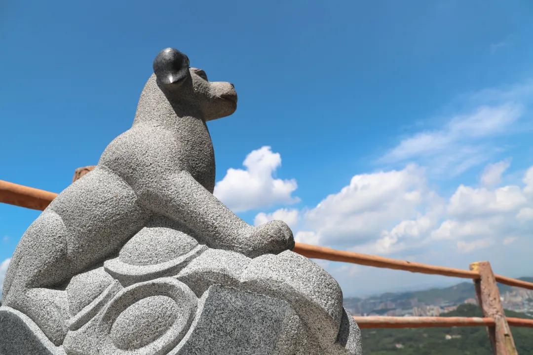 云雾缭绕的观音山人间仙境,云游观音山