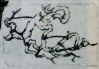 丛林式盆景欣赏,盆景欣赏及制作