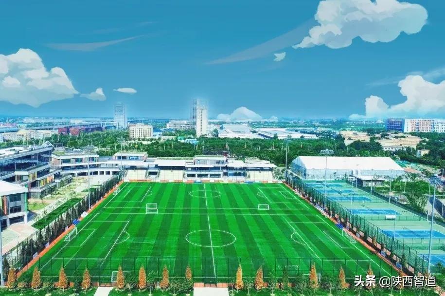 陕西广播电视台农村广播直播,陕西省广播电视台现场直播课