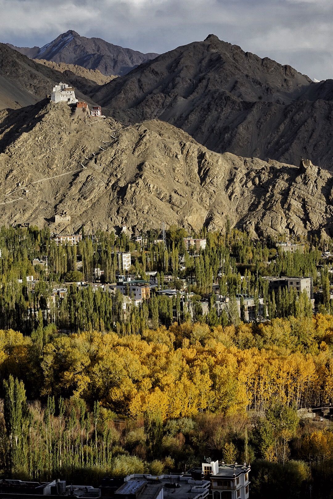 拉达克王朝的真实情况,拉达克王朝消失之谜