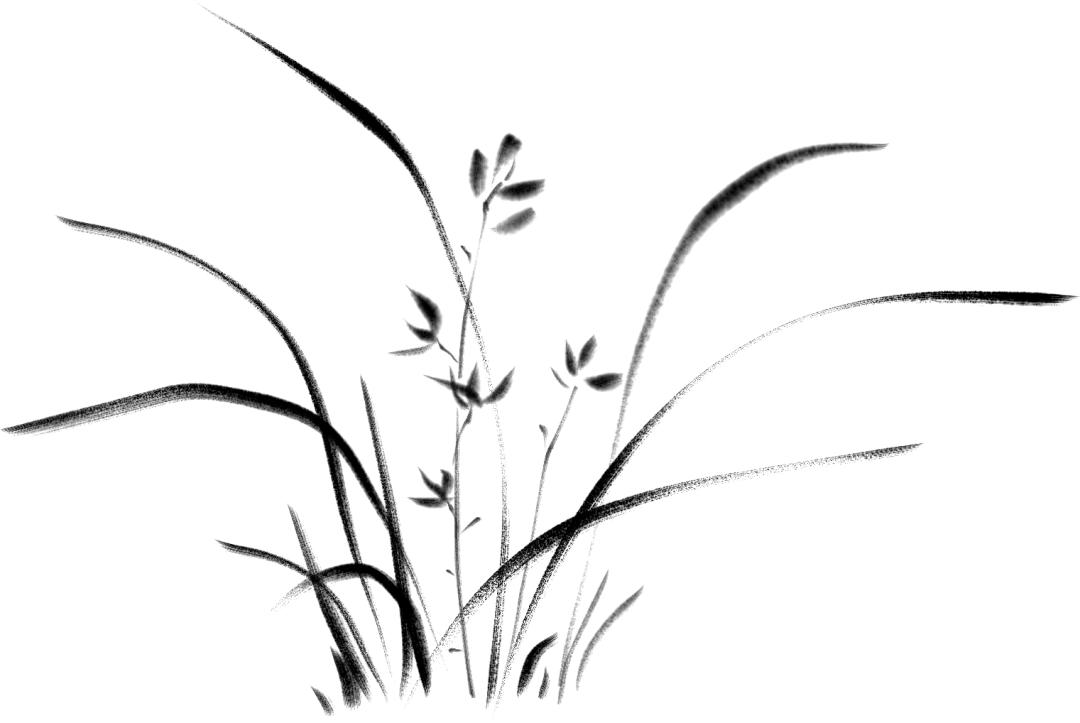 中药半个月是一个疗程吗,中药半月谈紫苏