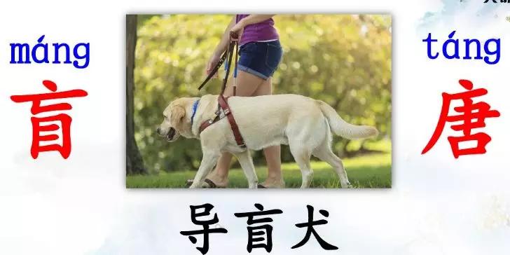 部编三年级上册语文课后练习答案,部编版三年级语文课后练习题答案