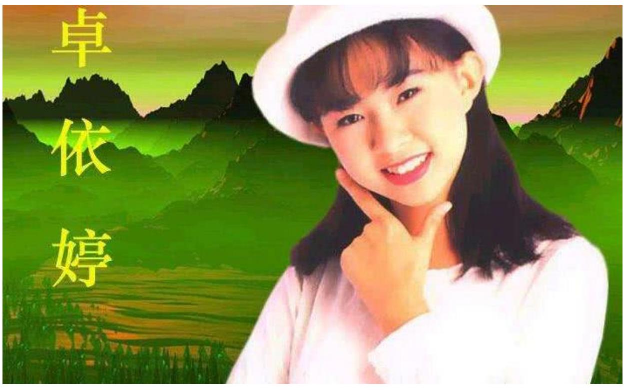 红极一时却消失的四位歌手,当年红极一时后就消失的十位歌手