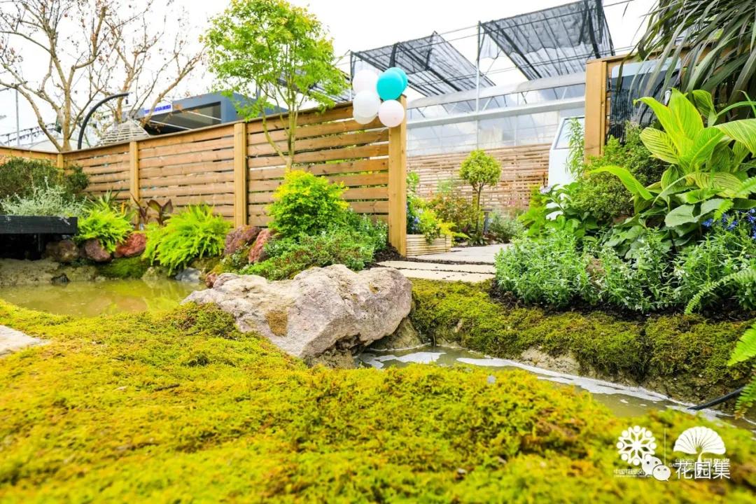 鑺卞洯鐩涘涔愯嚦,鑺卞洯鐩涘瀹屾暣