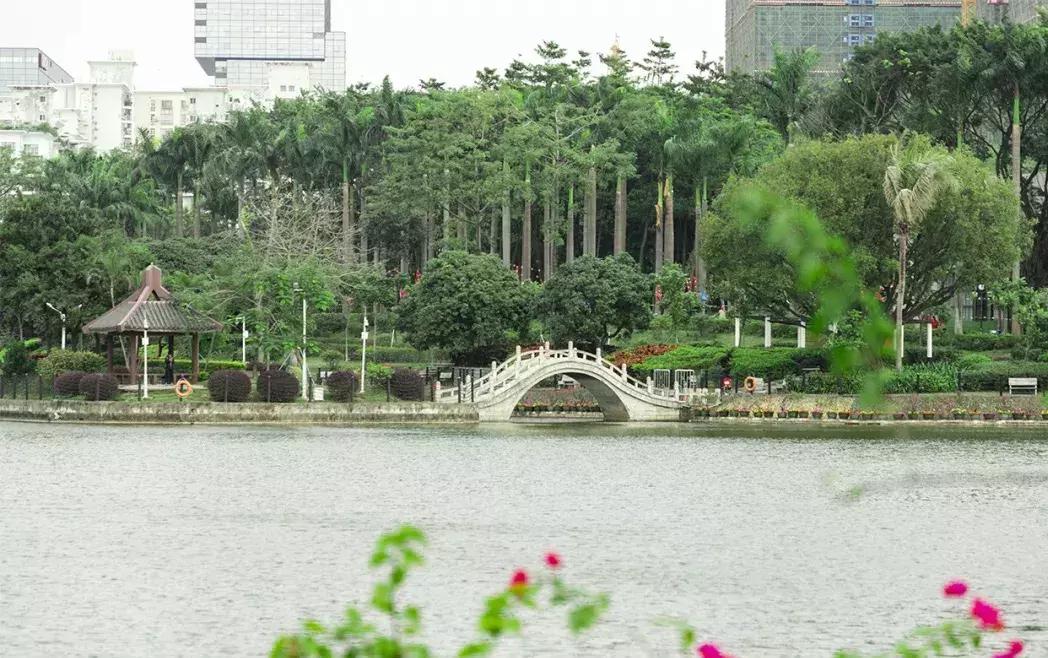 走进南头,这里是中山