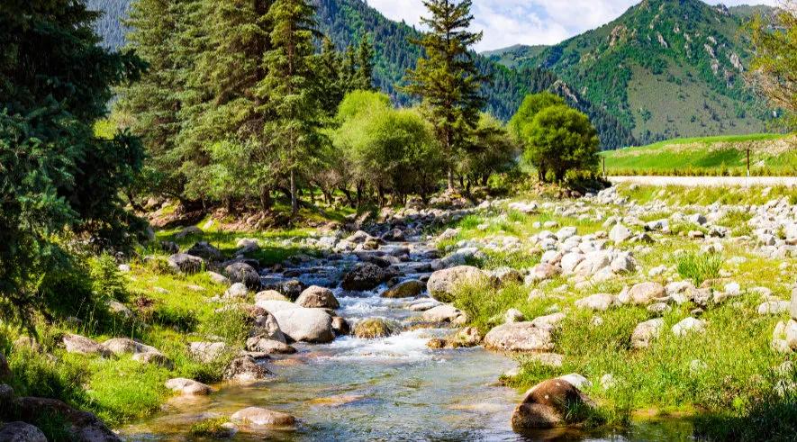 夏日的冰沟河作者：董涛