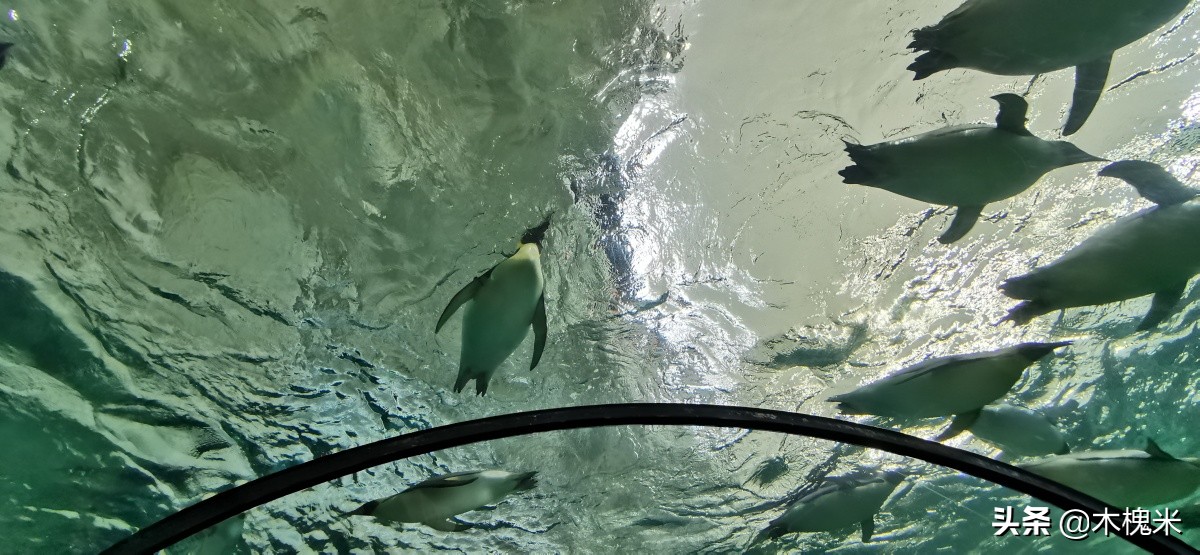 珠海长隆附近美食,珠海长隆海洋王国海底世界