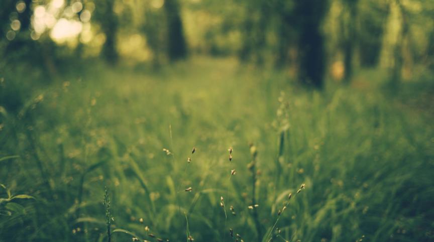 「奥体·紫兰园」三恒科技试住之旅，告别冬日严寒