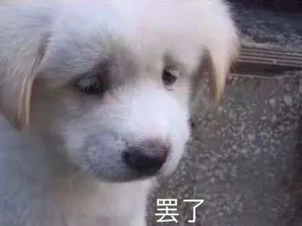 淘宝月销上千到上万,淘宝月销上万的商品